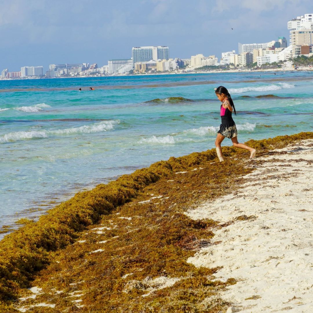 Playa Gaviota Azul, conocida como Playa Forum, amaneció este 29 de julio con una extensa franja de sargazo. Foto: Cuartoscuro